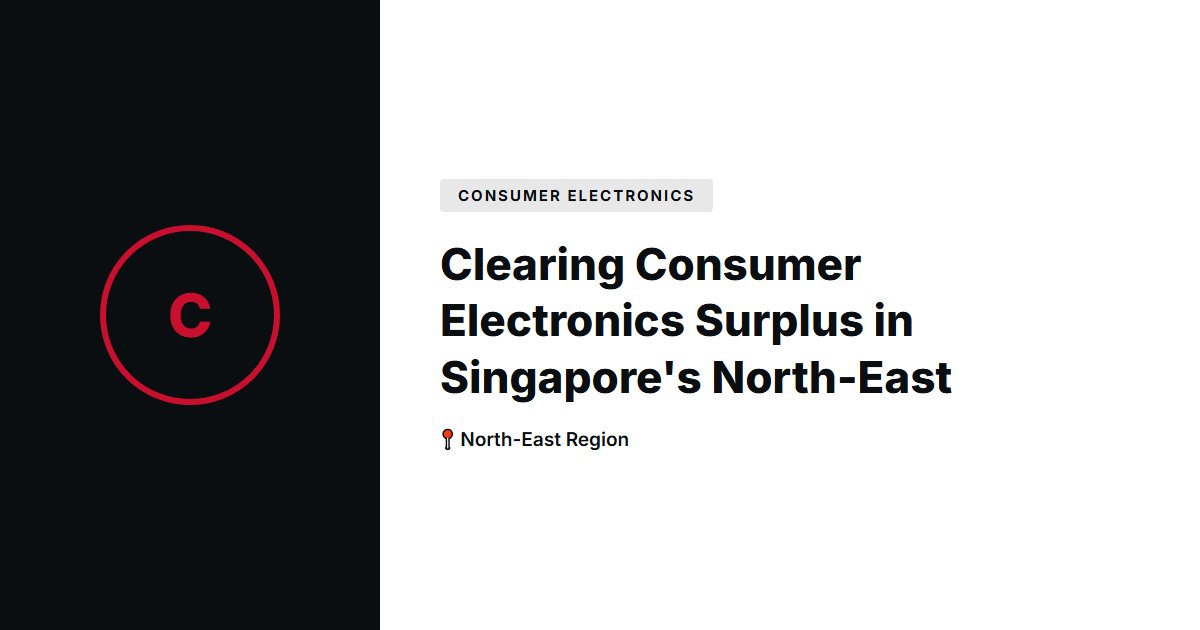 Clearing Consumer Electronics Surplus in Singapore's North-East