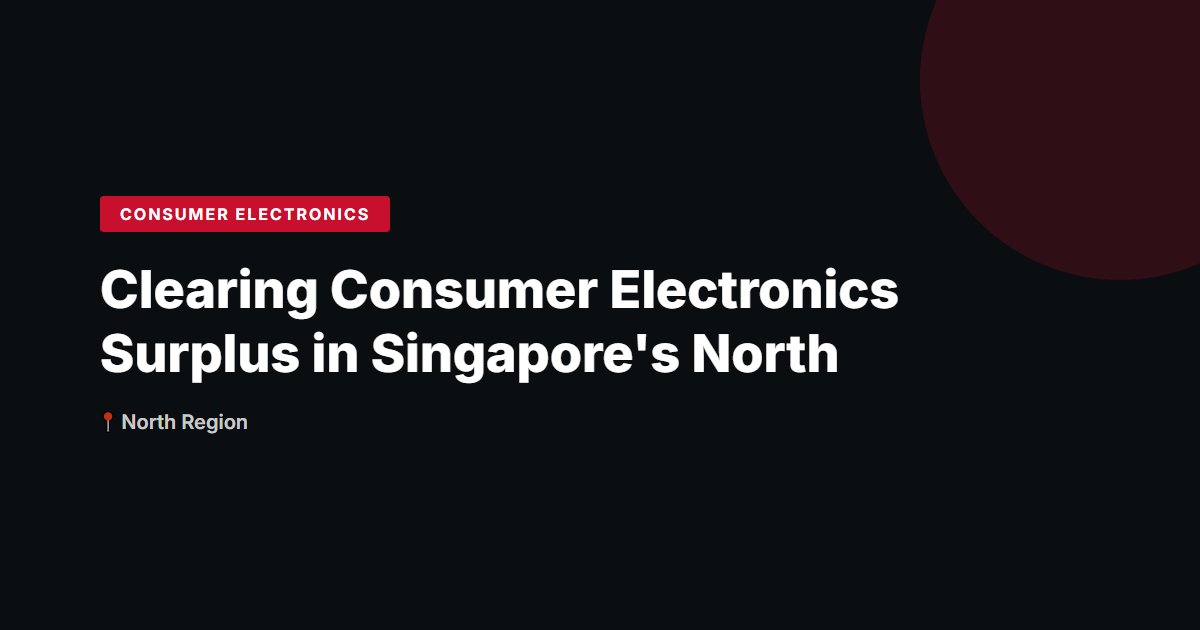 Clearing Consumer Electronics Surplus in Singapore's North